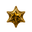 Star bullet point